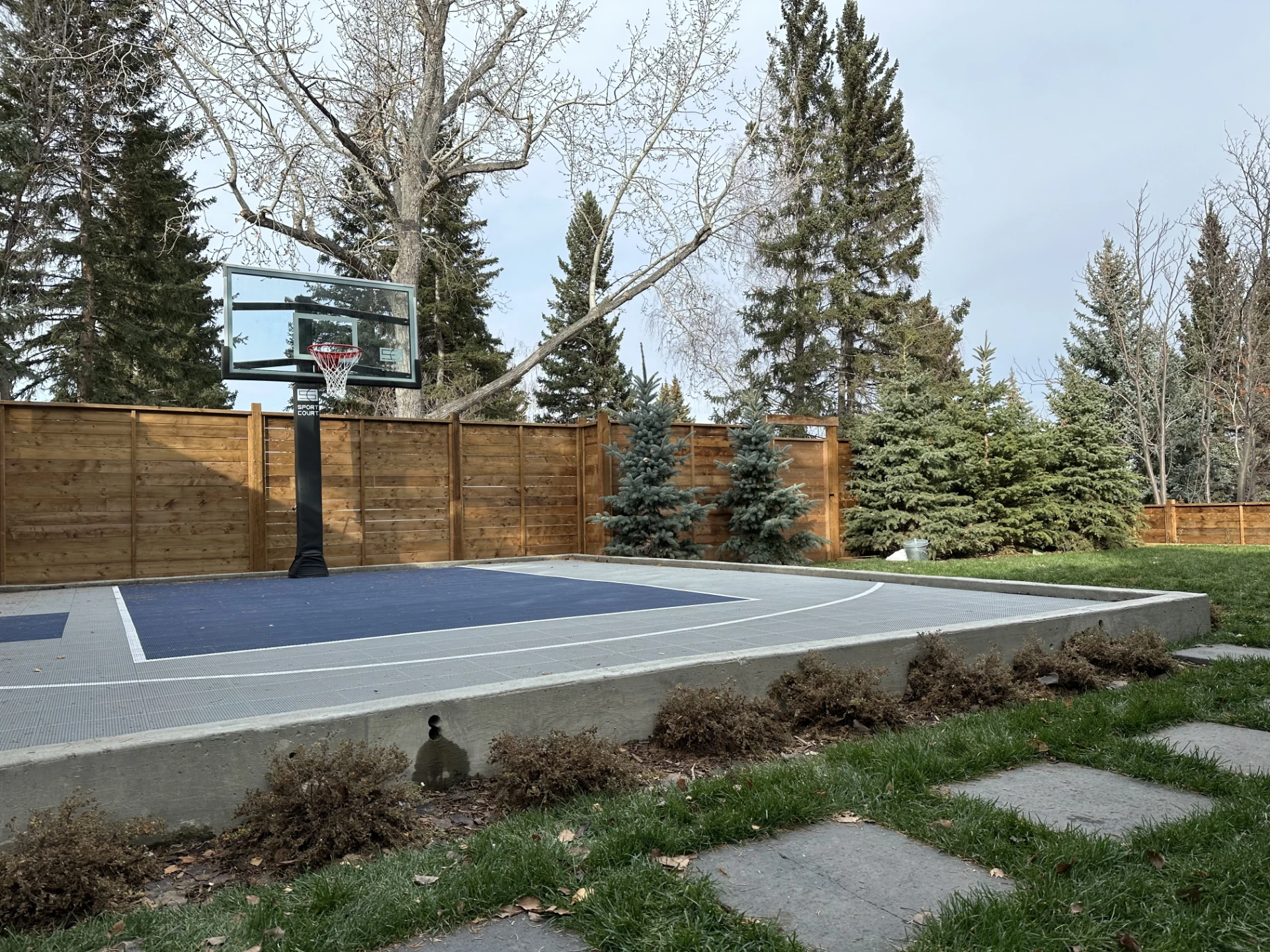 Backyard basketball court with wood fence and trees.