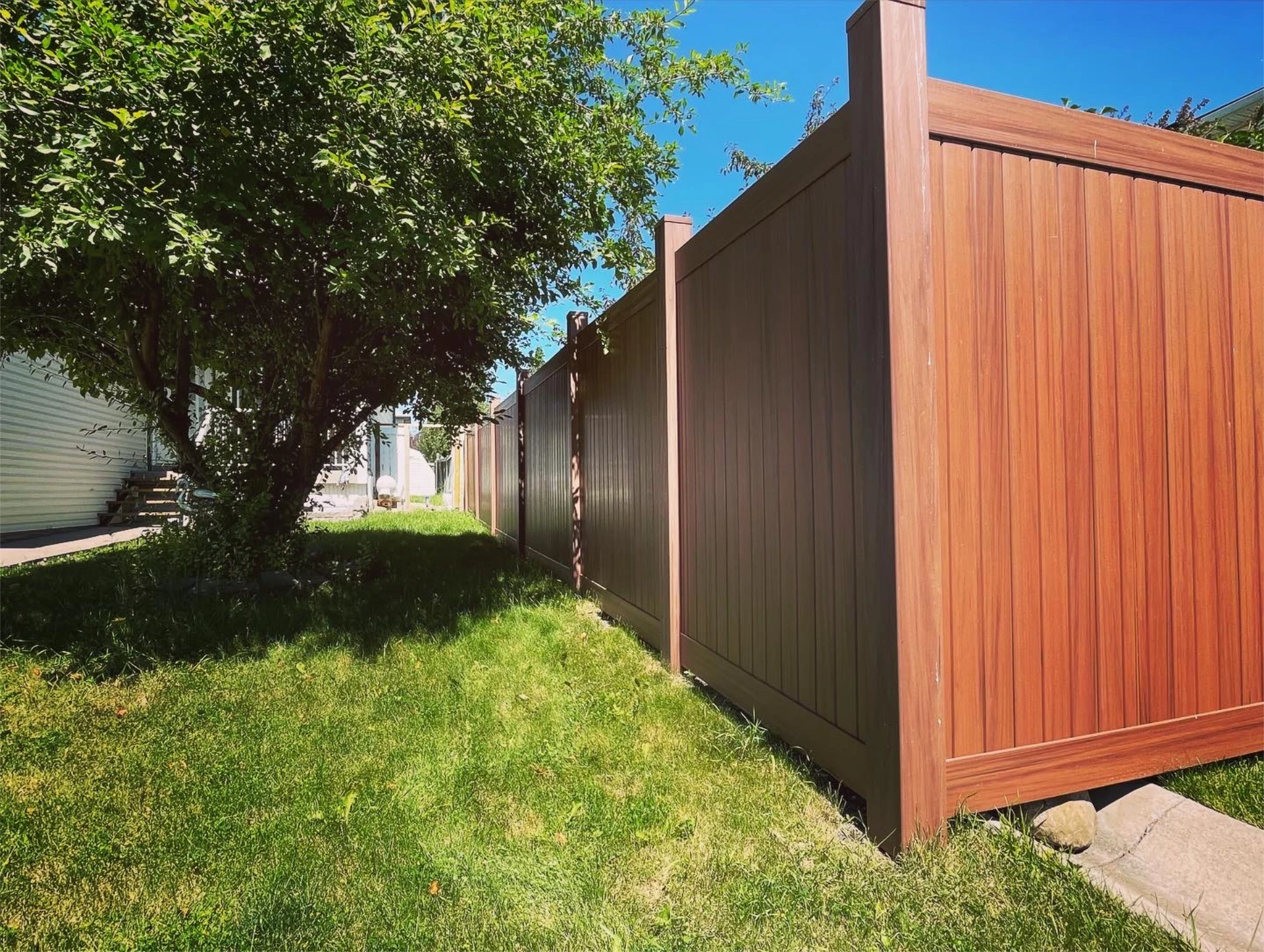 Backyard privacy fence beside shaded tree and lawn.