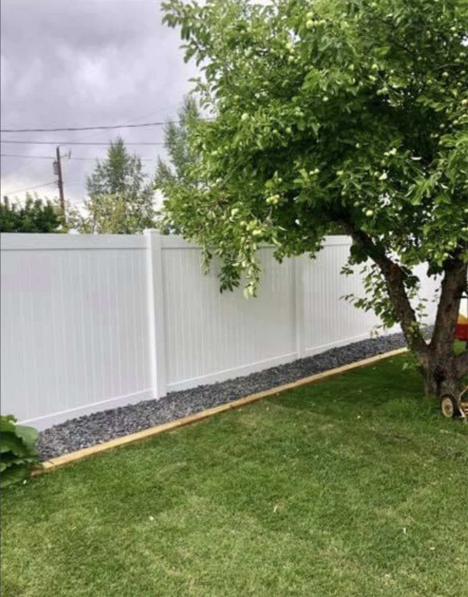 Fruit tree and lawn along white vinyl privacy fence.