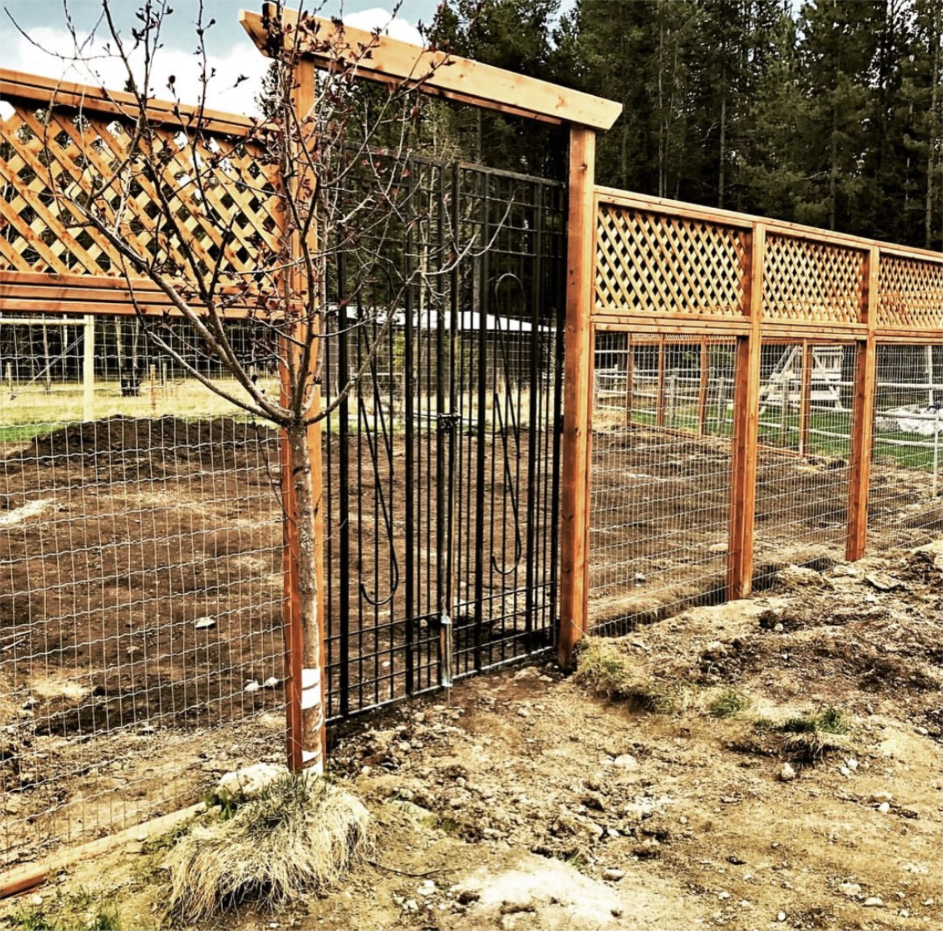 Garden fence with decorative gate