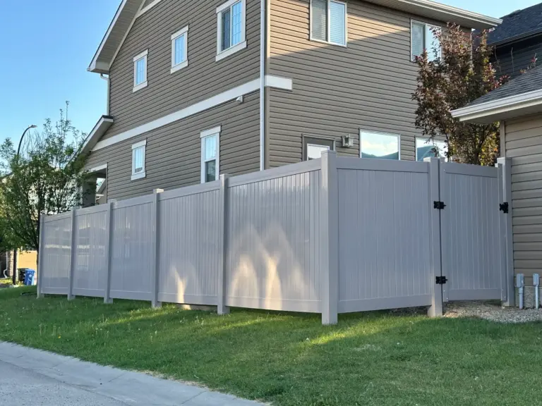 Millinnium Fence