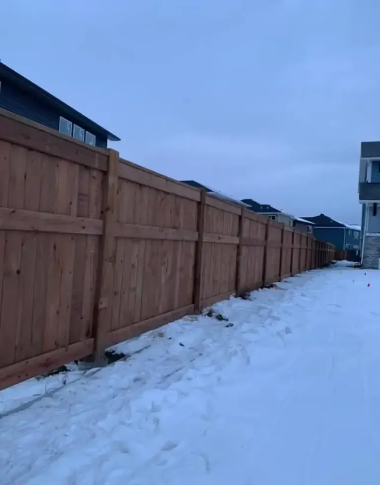 Millinnium Fence