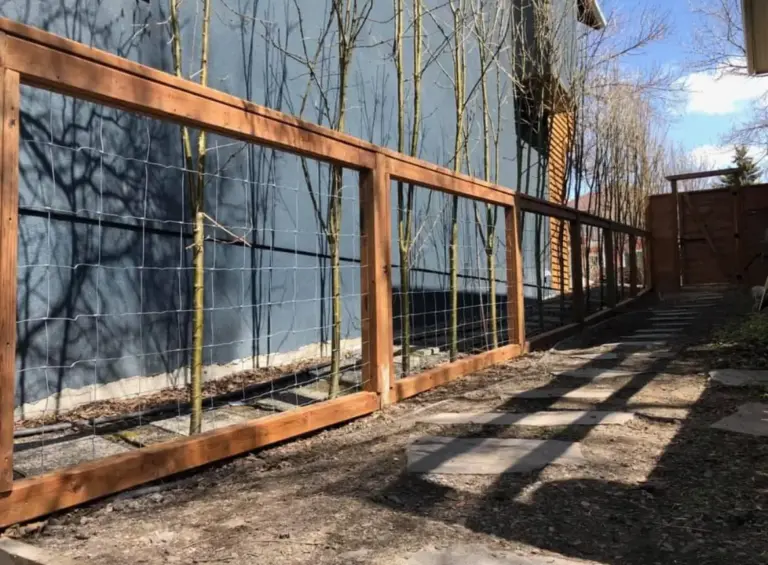 Millinnium Fence