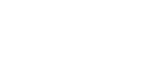 NVP logo White