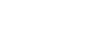 NVP logo White