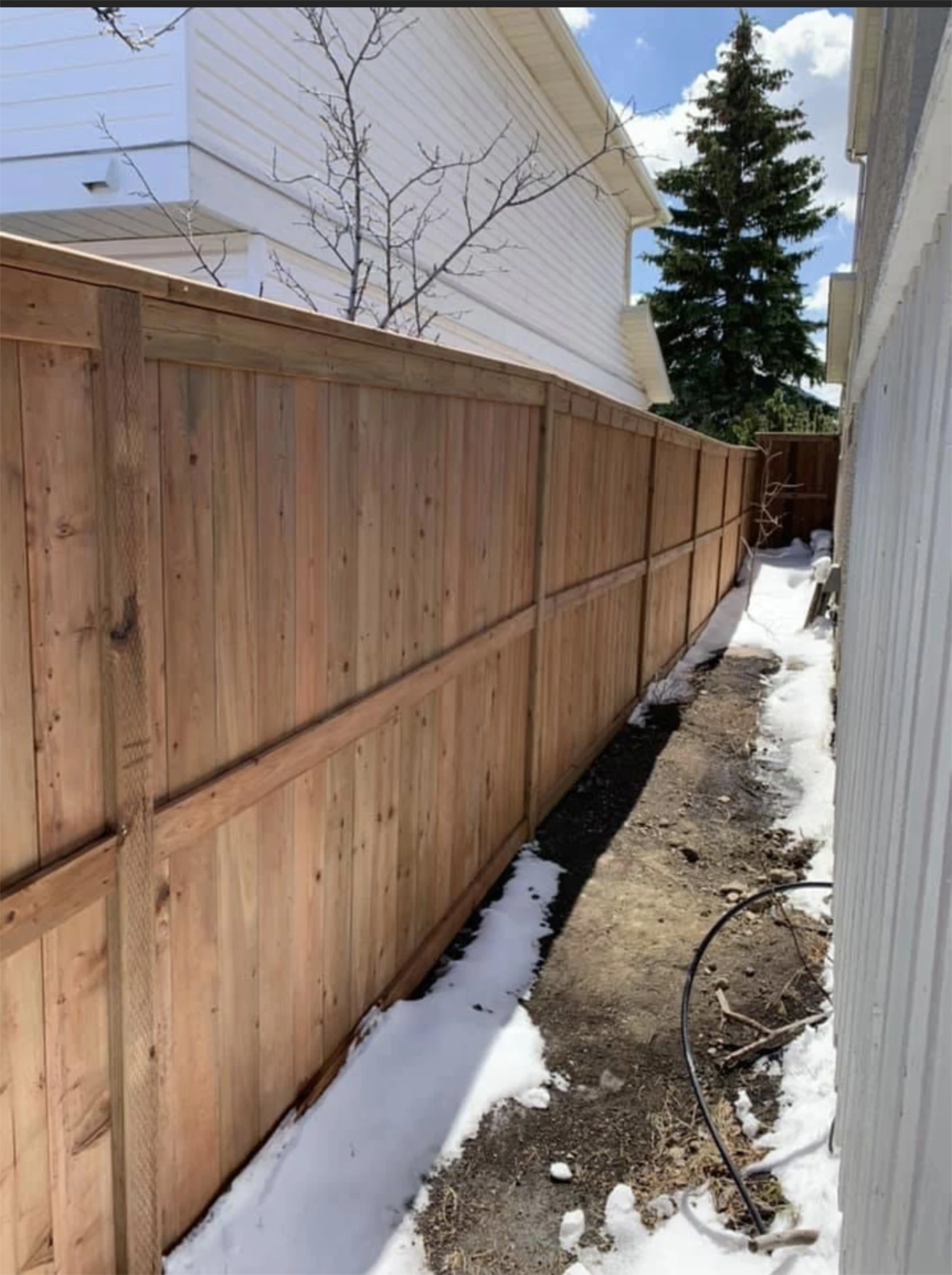 Narrow side yard with cedar fence and snow patches.