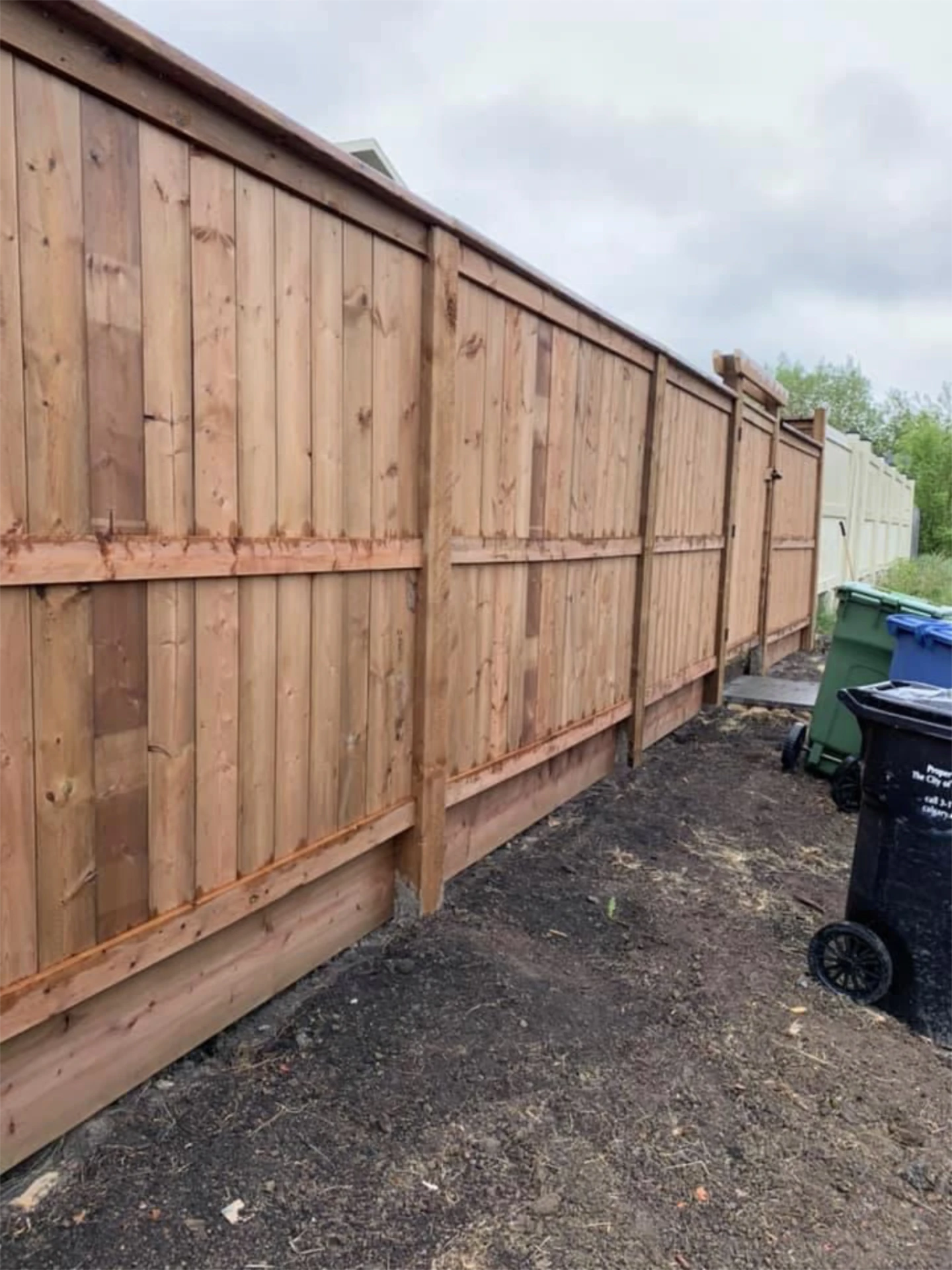 New cedar privacy fence beside gravel service path.