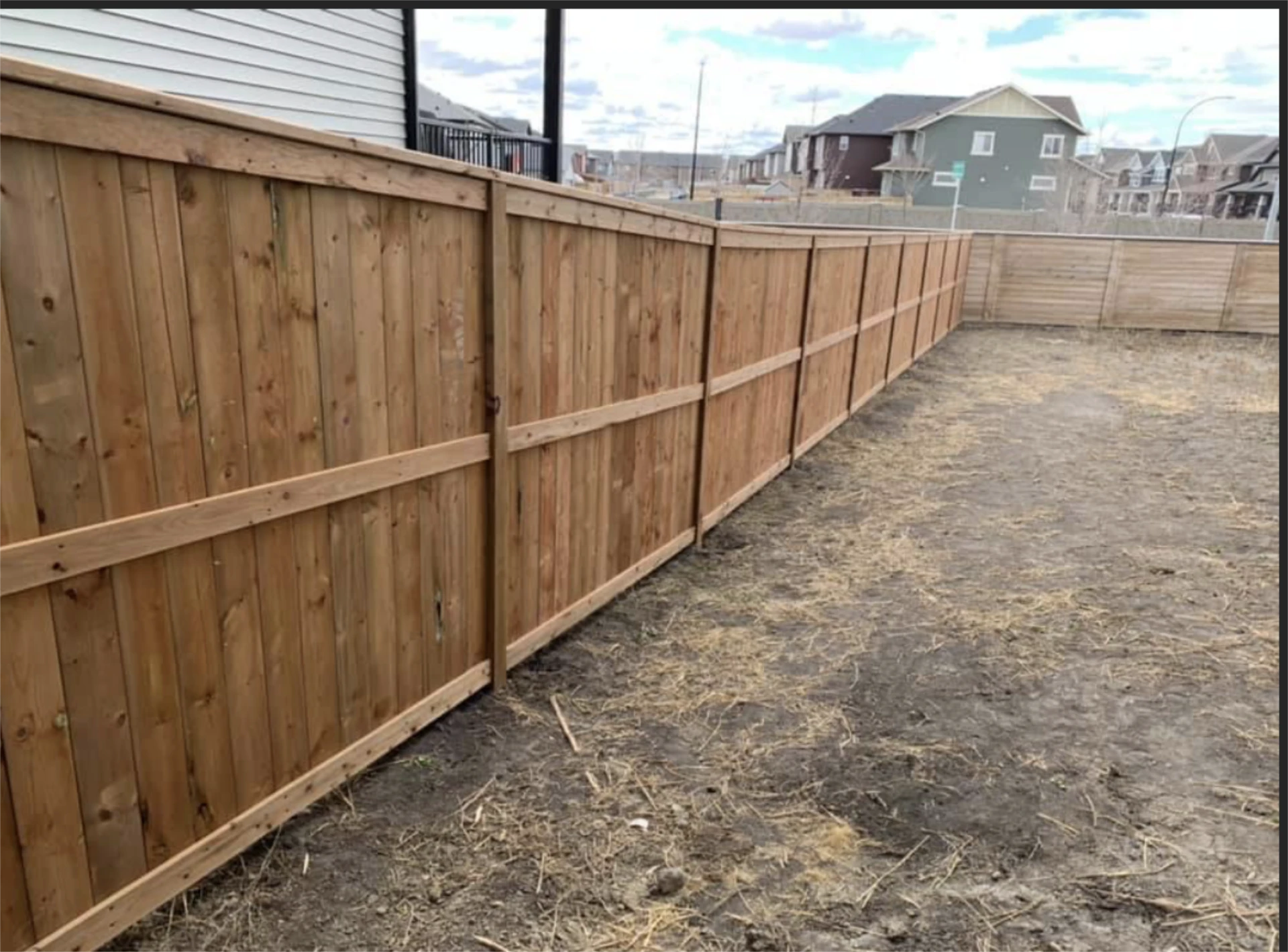 New cedar privacy fence in bare backyard.