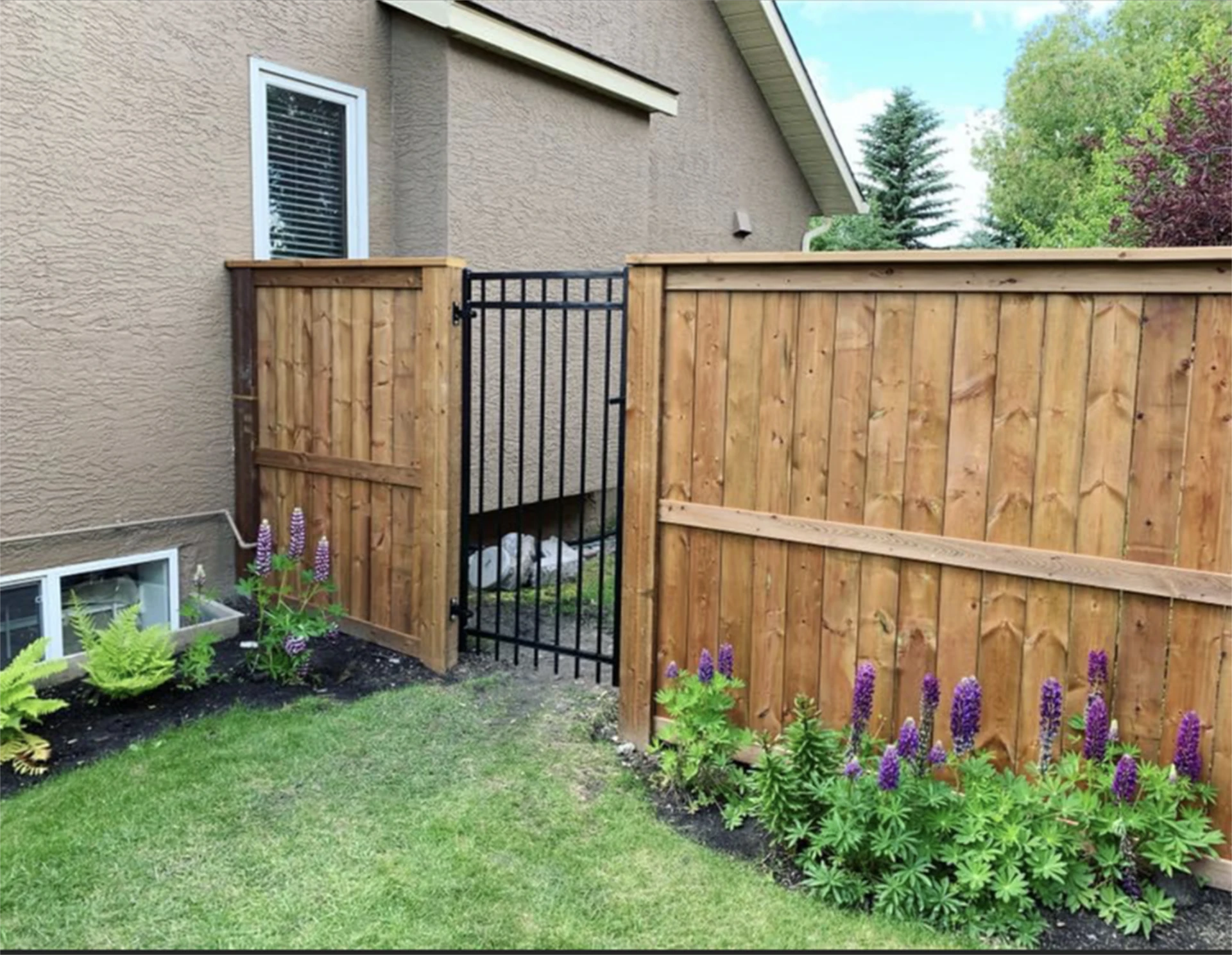 Side yard cedar fence with black metal gate and flower beds.