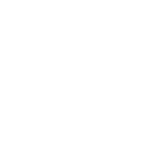 SummerSpace Logo.png