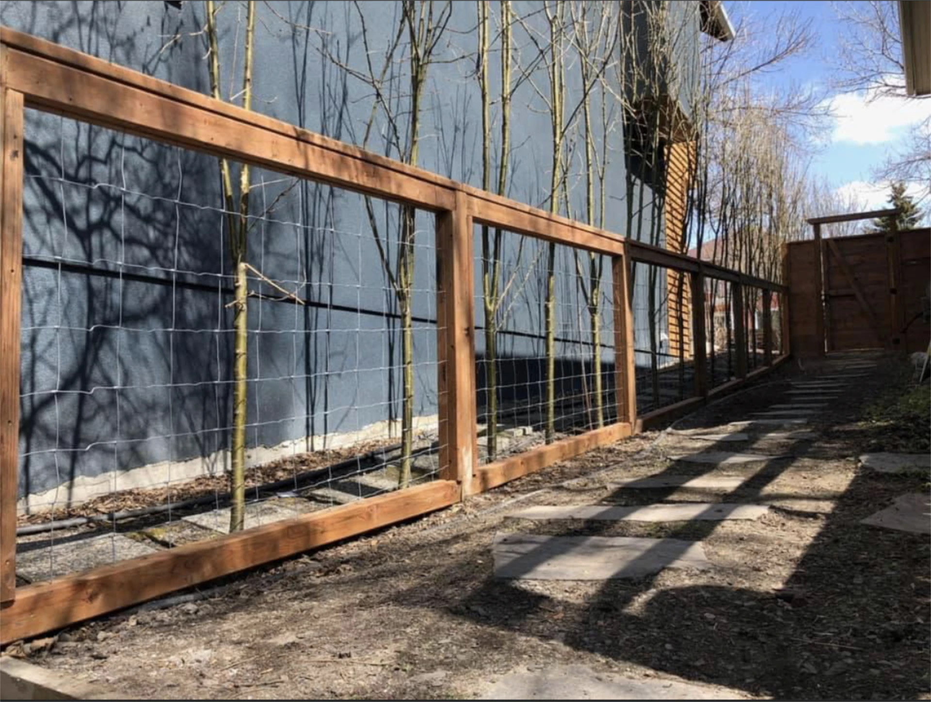 Sunlit side yard walkway beside wood and wire fence and young trees.