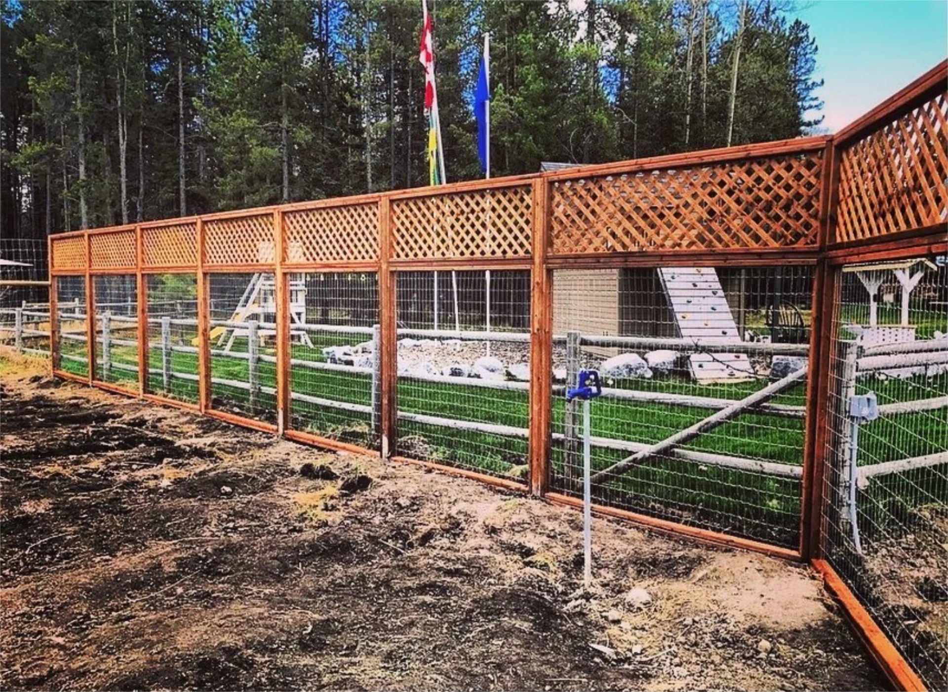 Tall wood and wire enclosure with lattice top