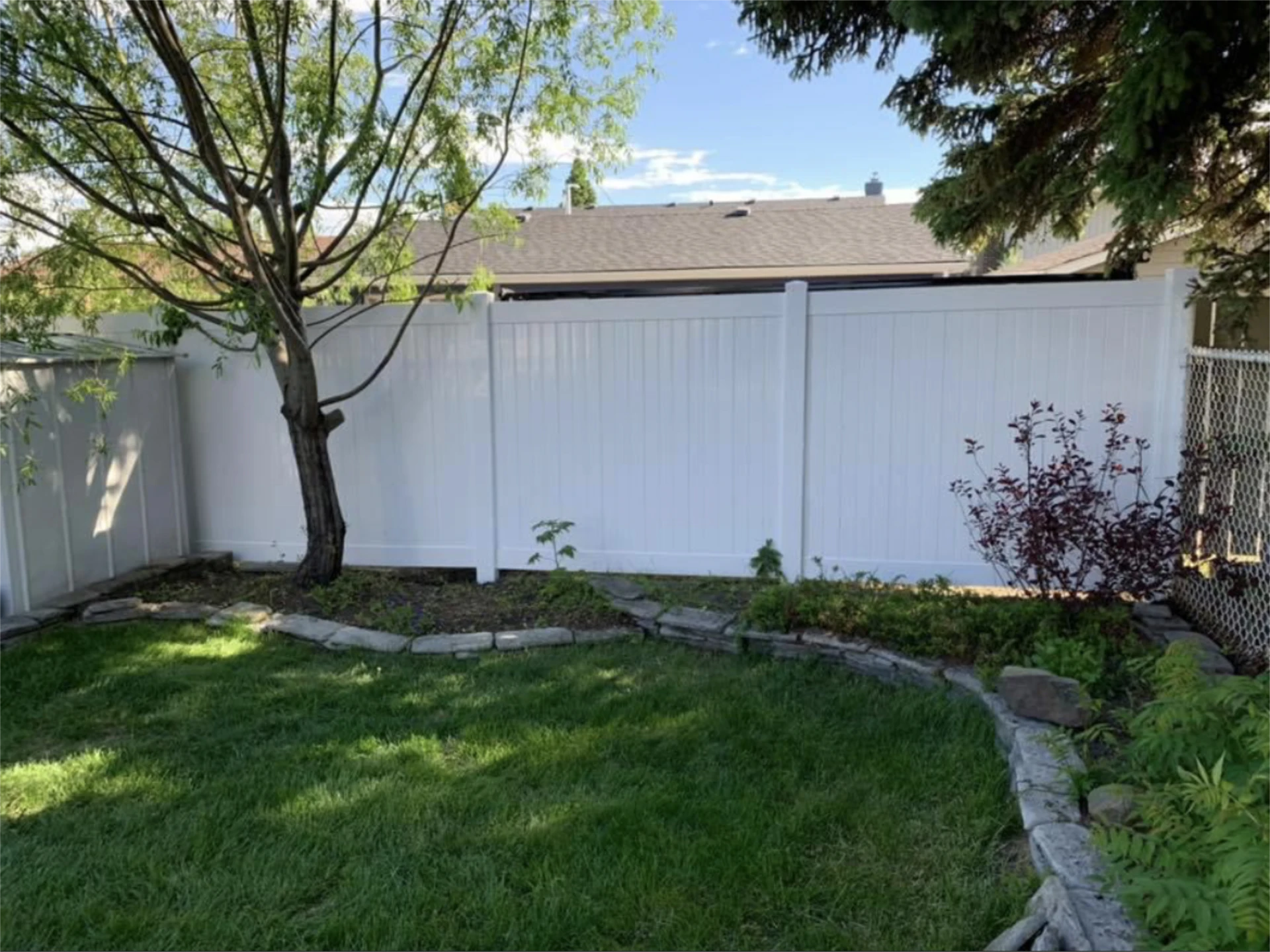 White backyard vinyl fence with lawn and landscaping.