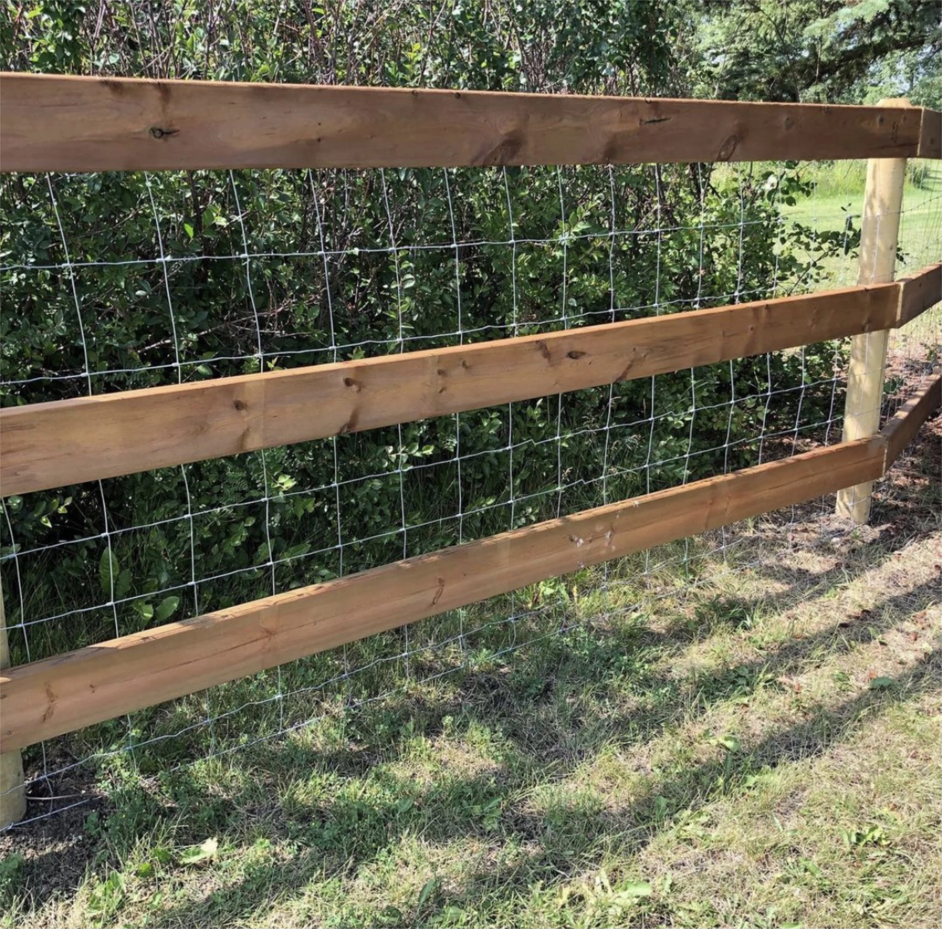 Close up of stained wooden fence with welded wire mesh beside the plants