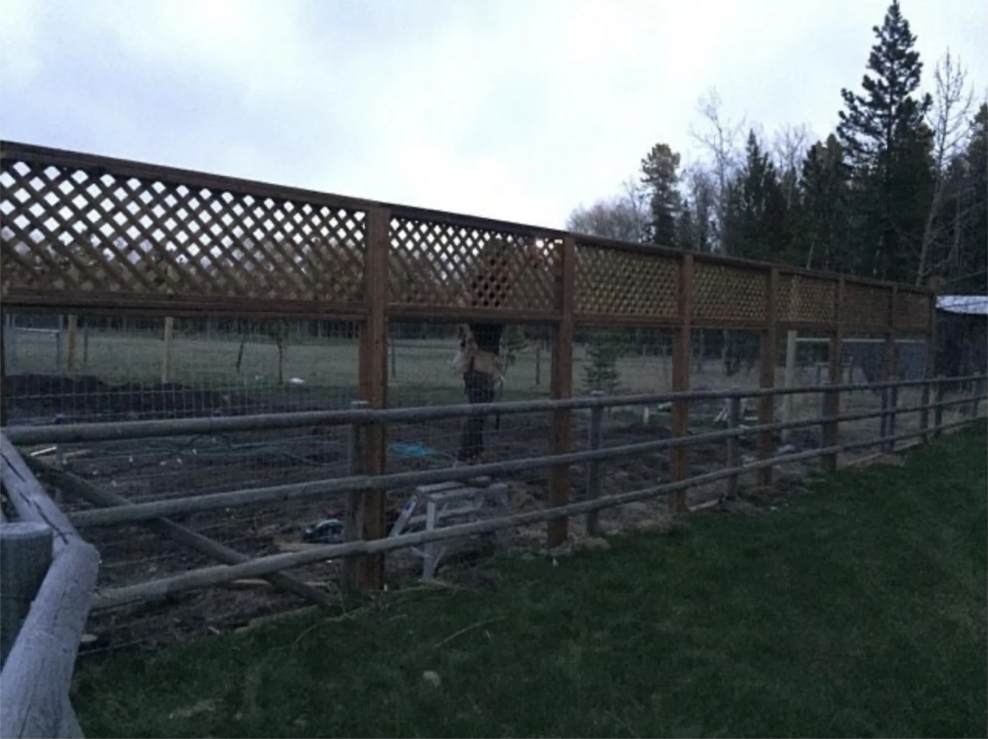High rustic ranch fence with lattice privacy extension