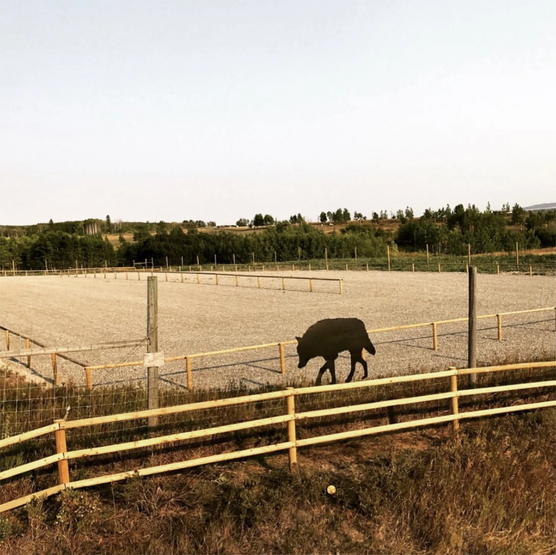 Outdoor riding arena with wooden rail fencing on sunset view