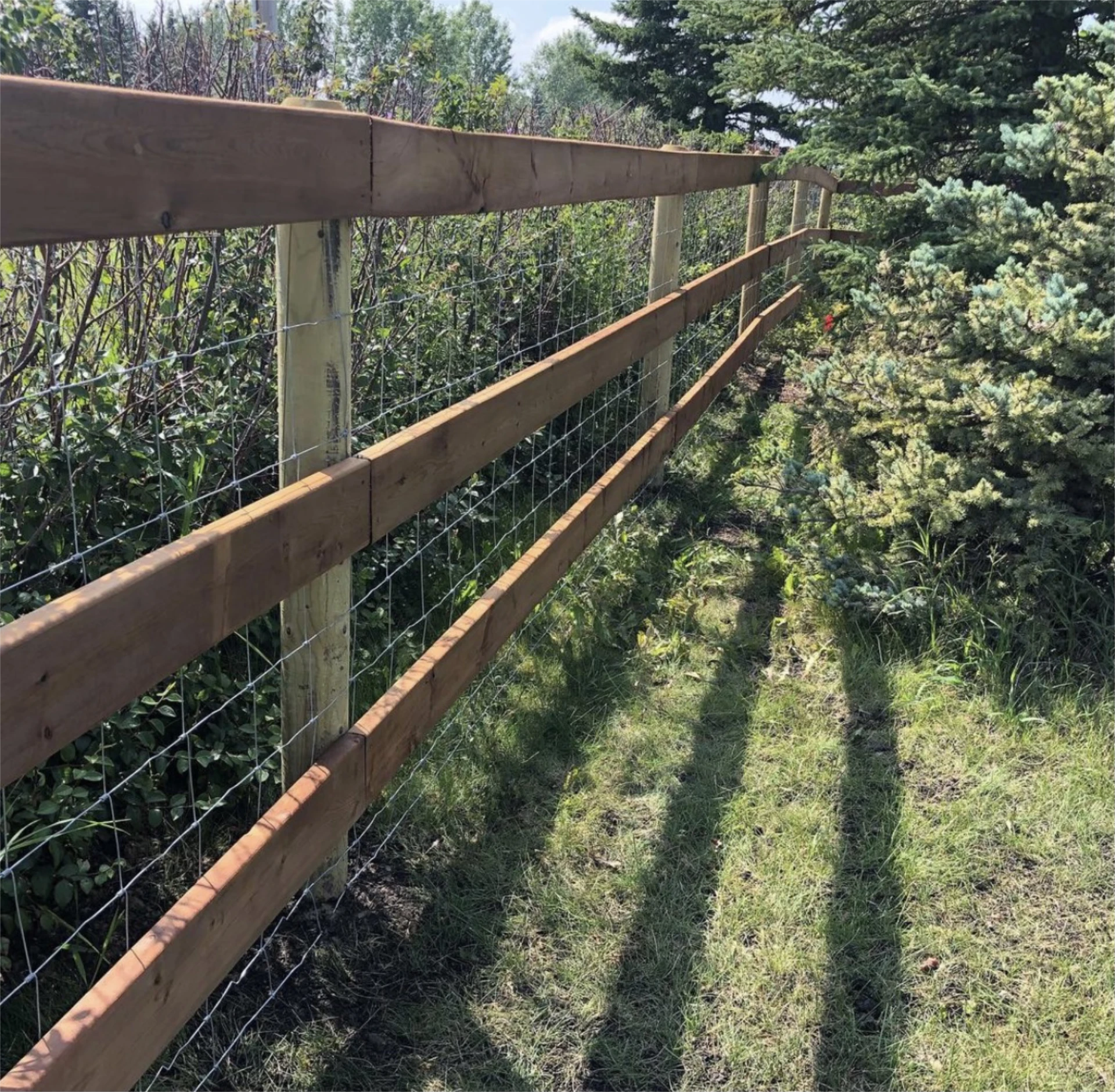 Perspective view of wooden post and rail fence with wire mesh beside the plants and grass