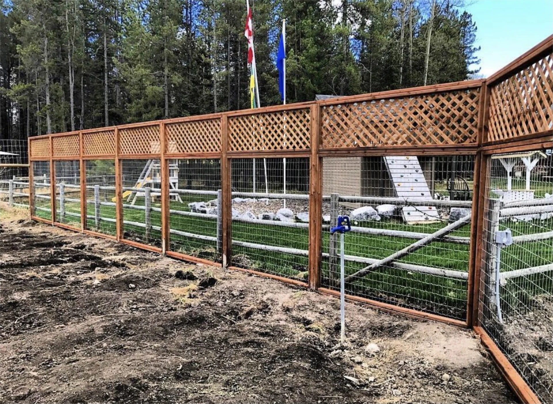 Tall privacy fence with lattice top and wire mesh