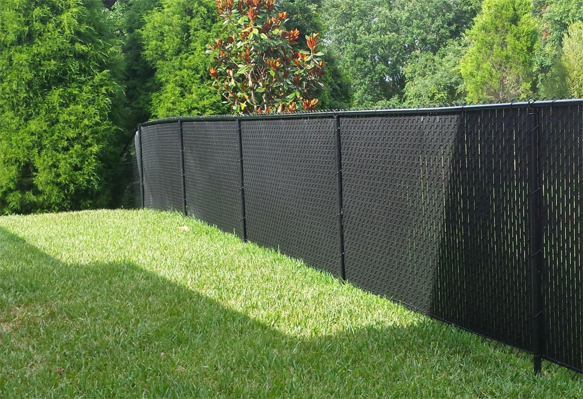 Wide black privacy screen chain link fence beside lawn and beside the forest