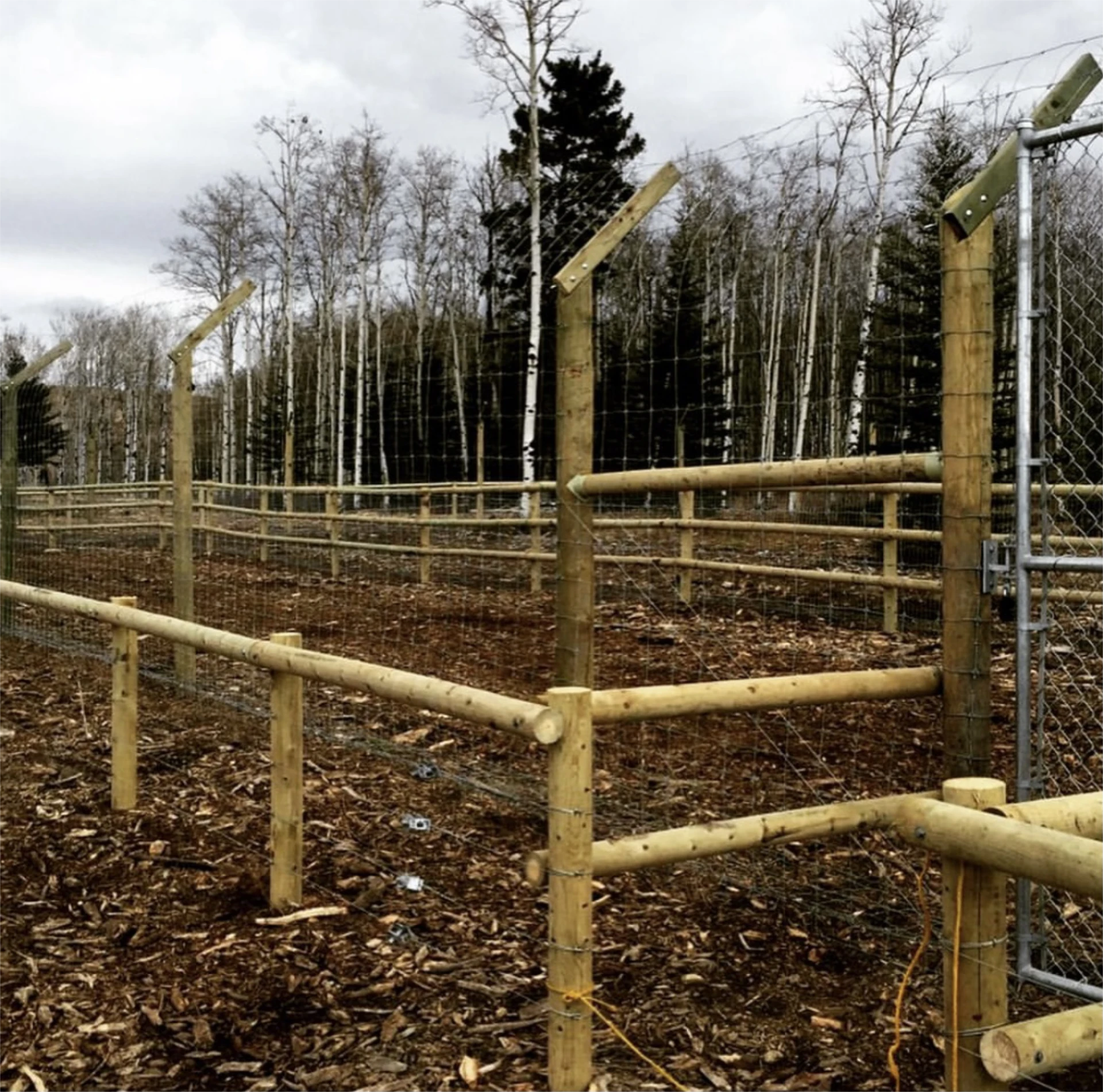 Wildlife exclusion fence in forest clearing with wire mesh